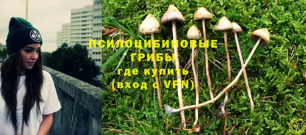 MESCALINE Кинешма