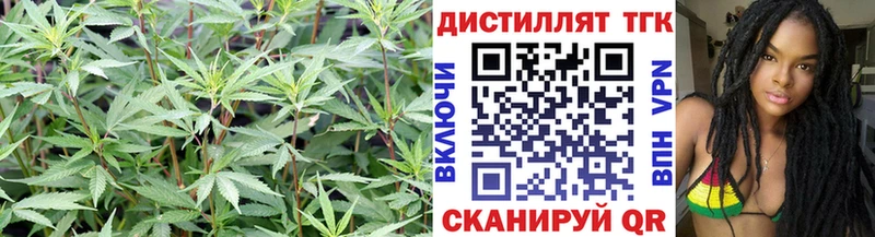 Дистиллят ТГК гашишное масло Боровск